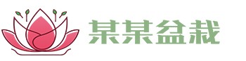 开云手机站官方端网站登录入口-开云(中国)